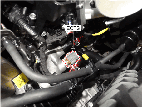 Hyundai Palisade. Components and components location