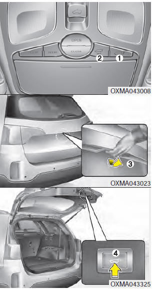 (1) Power tailgate open/close button