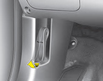 1. Pull the release lever to unlatch the hood. The hood should pop open slightly.