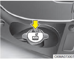 WARNING Radiator cap