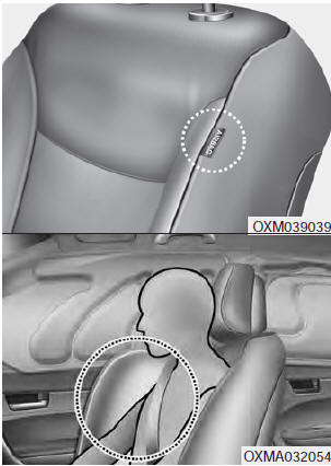 Your vehicle is equipped with a side air bag in each front seat. The purpose