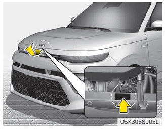 Kia Soul. Air conditioner compressor label. Refrigerant label