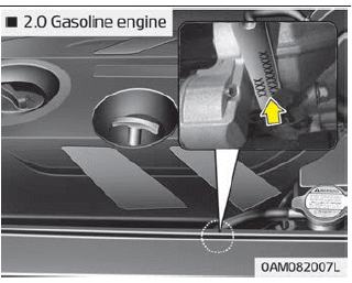 Kia Soul. Tire specification and pressure label. Engine number